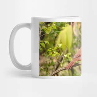 A resting male cardinal Mug